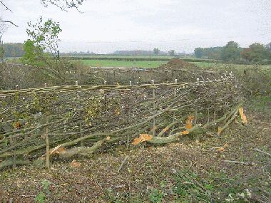 Hedging round the first of the two corners