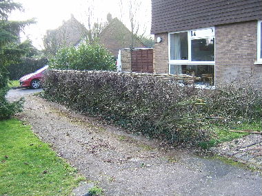 Completed hedge