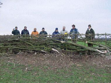 Volunteers posing by completed section of hedge!