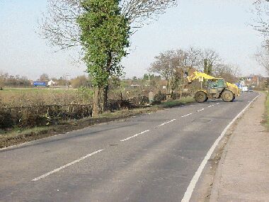 Completed hedge.  The JCB is uprooting elder stumps