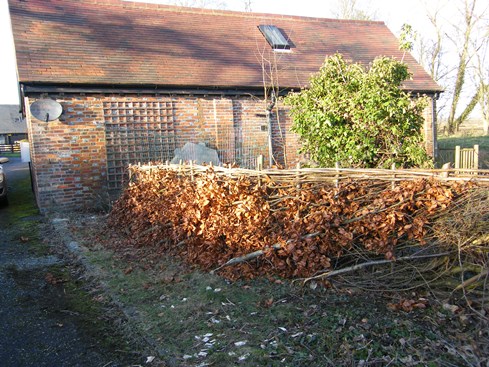 ... and laid seamlessly into              existing hedge