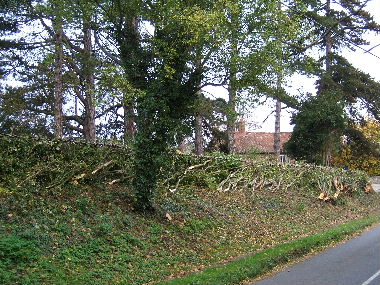 General view of completed hedge