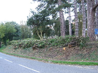 Completed hedge from other direction
