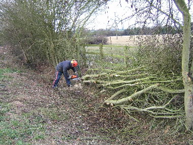 Client gets stuck into hedge with chainsaw